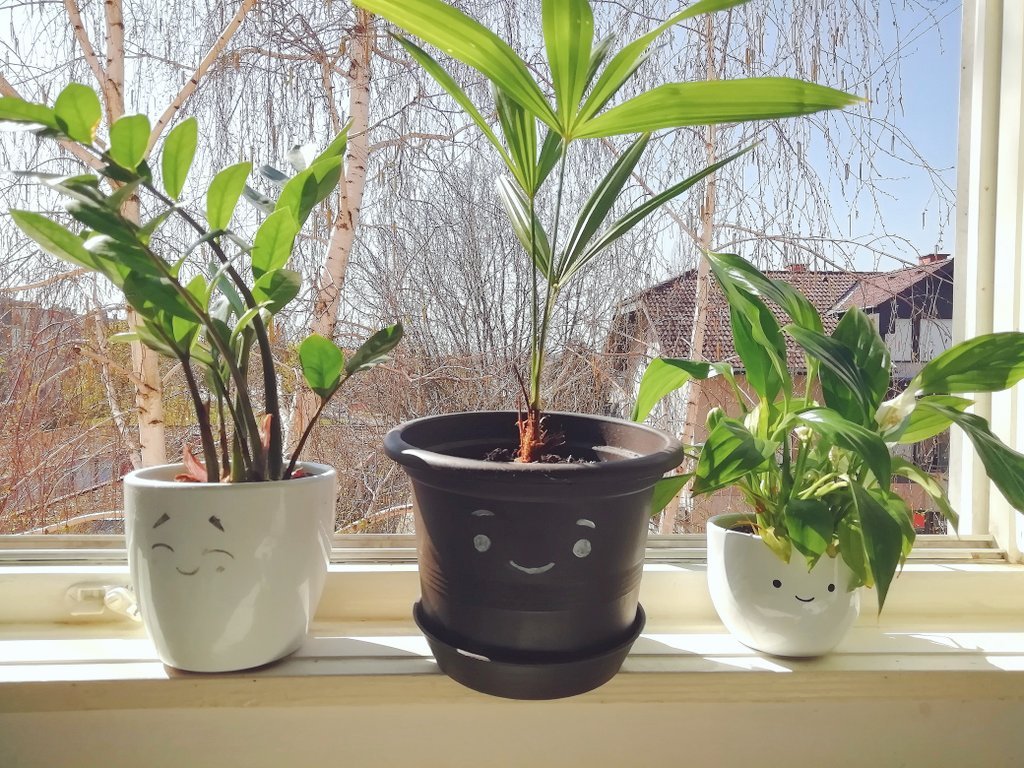 Sunbathing ☀️🌈