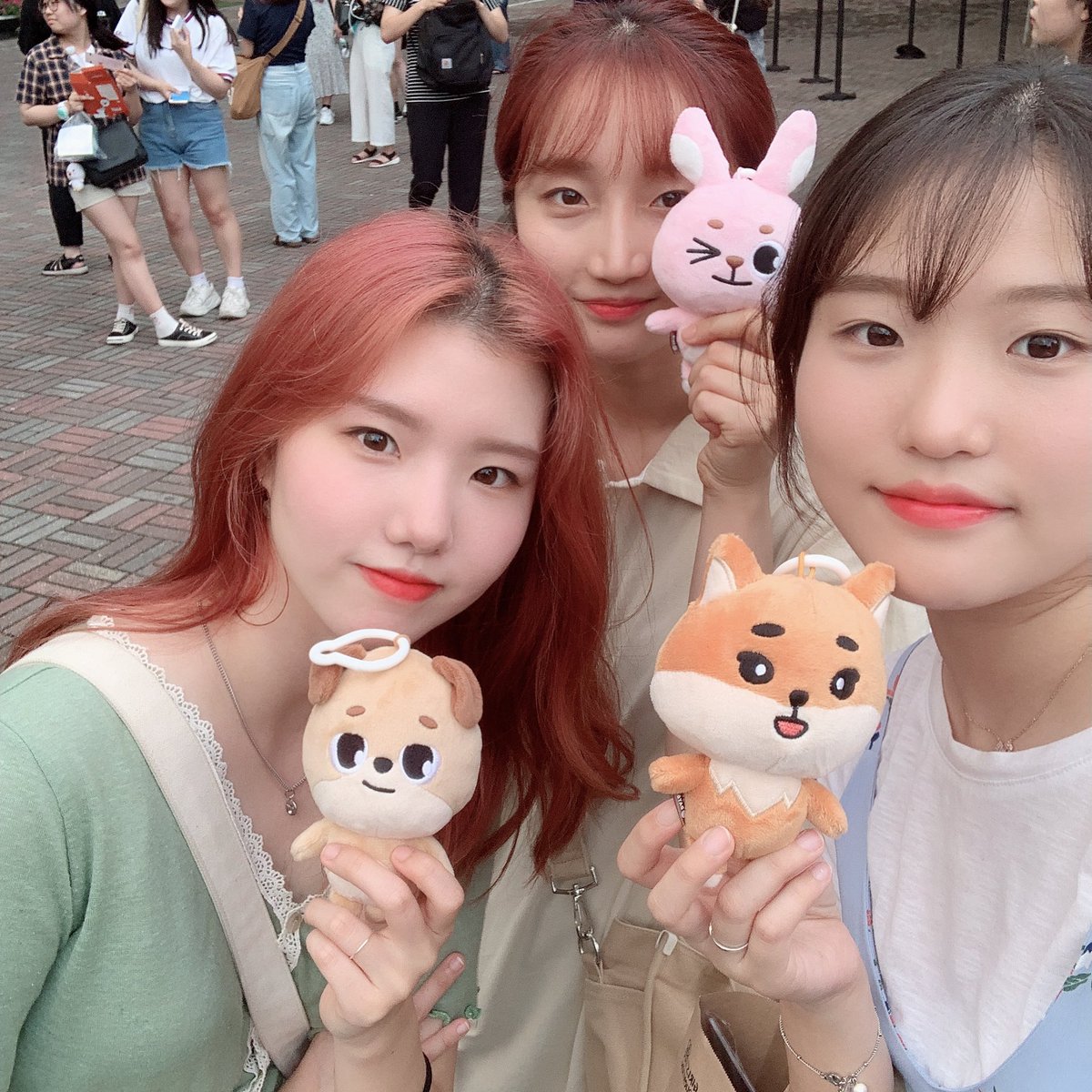 에데커 tweet media