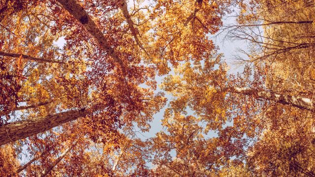 zagadnienia pękania i skrawania materiałów