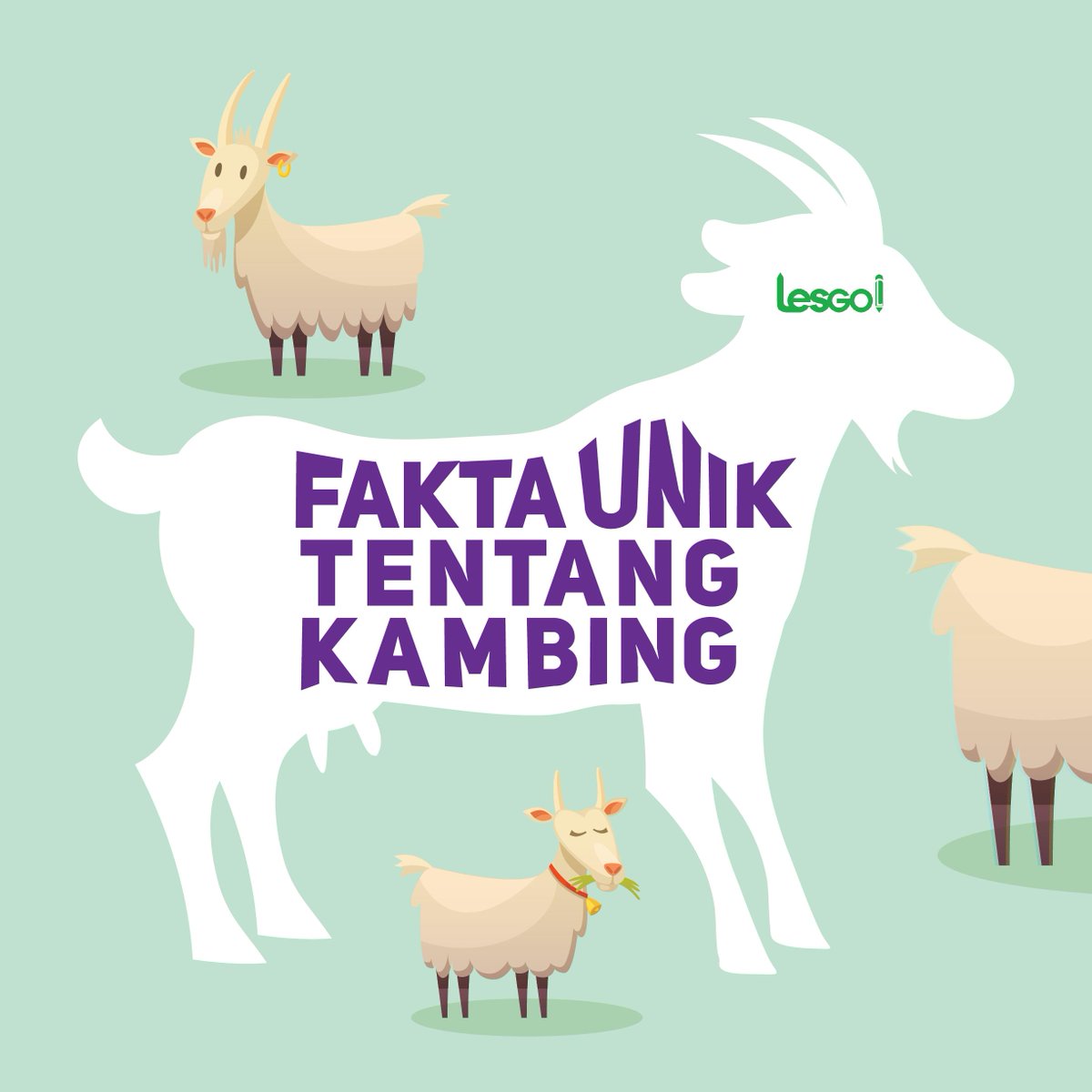 LESGO_INDONESIA's tweet photo. Fakta Unik Tentang Kambing
#lesgo #lesprivat #iduladha #Kurban https://t.co/aLVeU0ILFG
