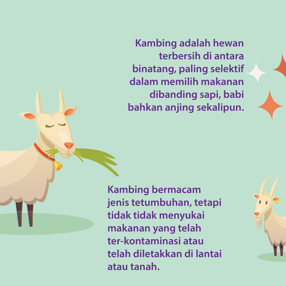 LESGO_INDONESIA's tweet photo. Fakta Unik Tentang Kambing
#lesgo #lesprivat #iduladha #Kurban https://t.co/WPc1q5dI9c