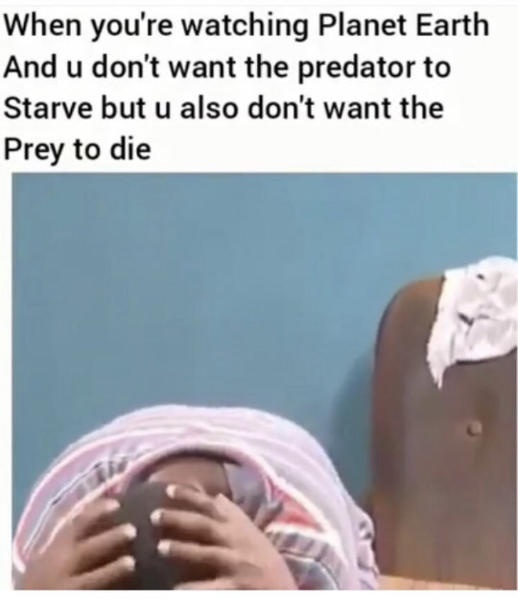 Respectful Memes (@respectfulmemes) on Twitter photo 
