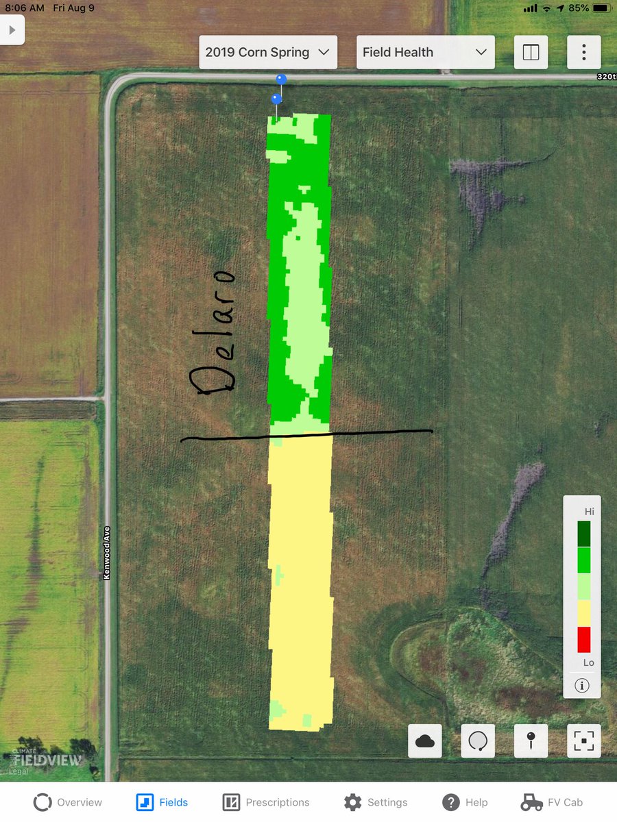 tony weis tweet media