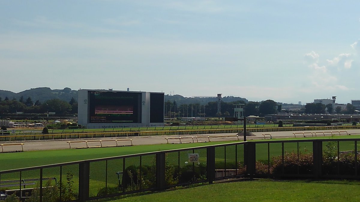 競馬場 平日 最高のイラストと図面