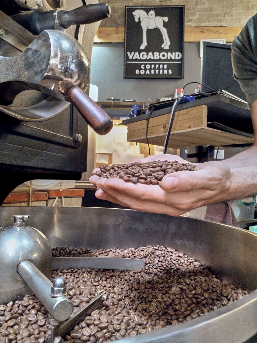 And with that, the coffee from Finca La Lomita has been picked, processed and is on it's way to port!

We'll be receiving the coffee at Vagabond Coffee Roasters in about 4/5 weeks, and we'll take that opportunity to show you what happens next! Follow the process on Instagram ✨