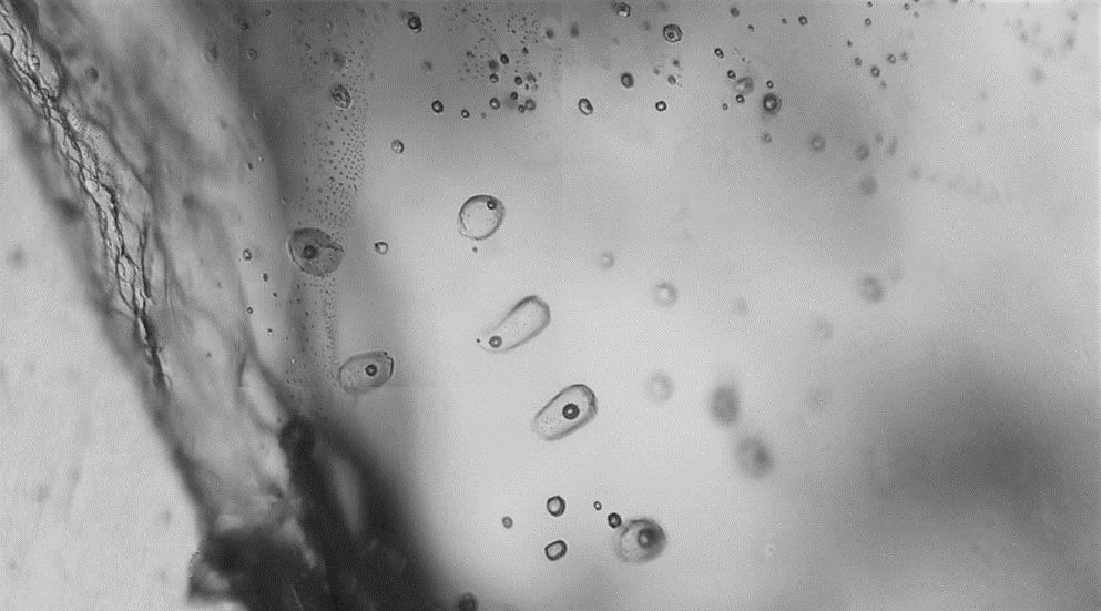 mae4lys's tweet photo. After weeks of looking for tiny inclusions in olivine crystals and studying them, I finally completed my MSc internship on Comoros magmatic system!
Surely one of the most interesting and rewarding investigation I carried out!
#Comoros #magmatism #inclusions #olivine #LPG #IPGP https://t.co/3lrQqrkFwk