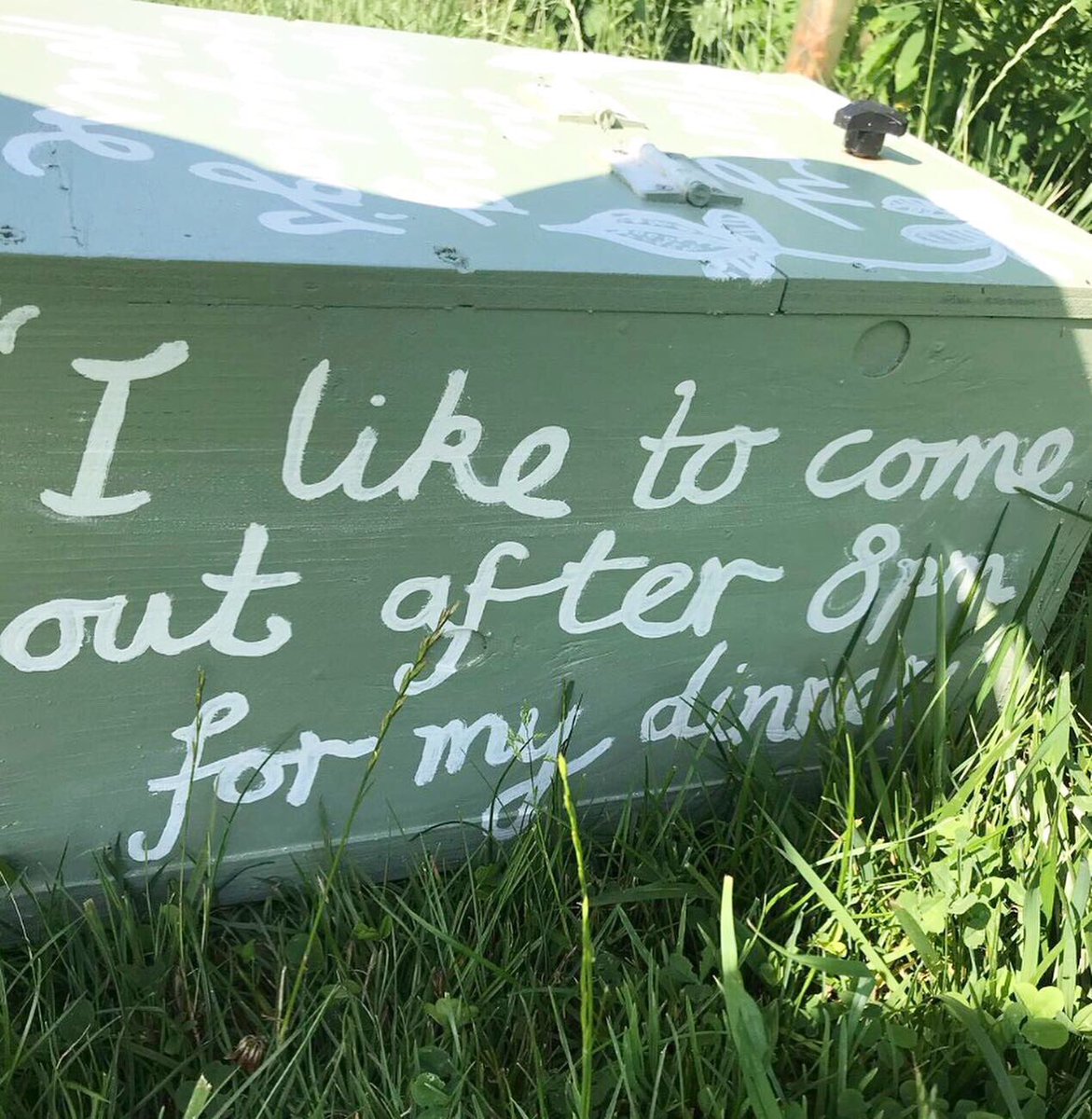 broadscamping's tweet photo. Our resident camper, ‘Harry the hedgehog,’ has his very own pad here at the Hickling campsite. 🦔 Let us know if you manage to spot him! 👀 #glampingnorfolk #glampingnotcamping #norfolkcamping #norfolkholiday https://t.co/zRye6JsCc2