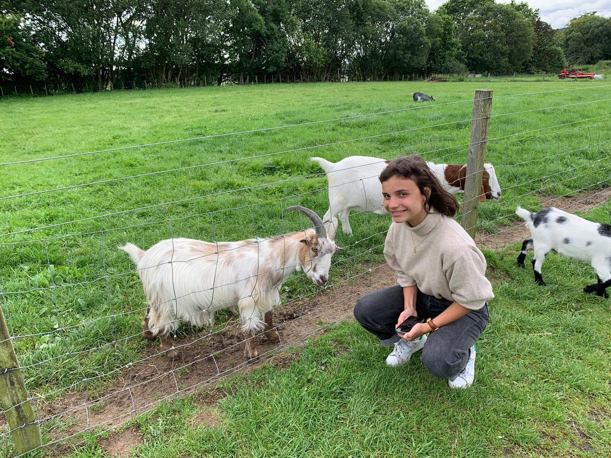 TrebonsBC's tweet photo. Laura, jugadora y manager del equipo #JuniorFemenino nos envía fotos de nuestros parientes 🐐 desde Inverness, Escocia!! Nos vemos a la vuelta Lau! #Trebónsporelmundo #Somostrebóns #Goat5 https://t.co/Y0U9E4Dw41