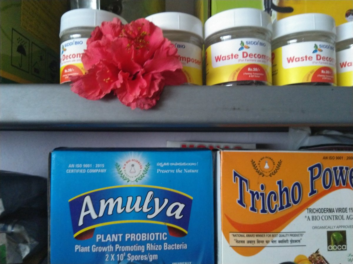 NetworkSamudra's tweet photo. Happy Lakshmi Puja everyone! #fpo #fpodigitization https://t.co/UhclLv2Geh