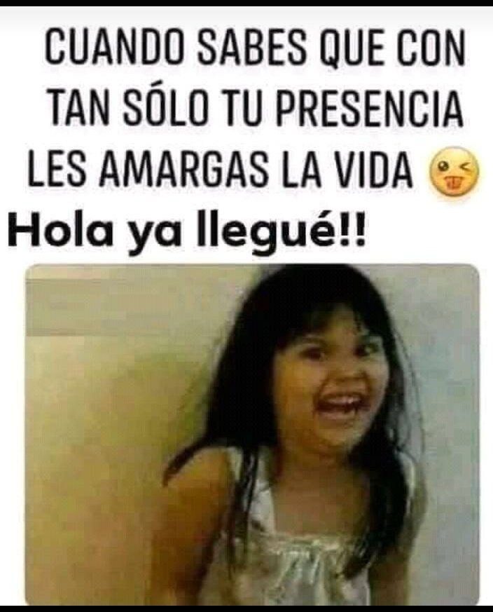 Monicadaliana's tweet photo. https://t.co/lCVwecIv6K