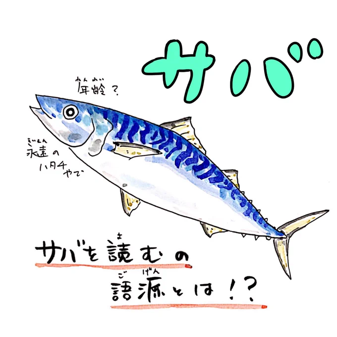 [いきものレッスン?]

「サバを読む」の語源は…
#サバが 腐りやすかったから⁉️

さかなの質問も受付中??‍♂️#うおにい
https://t.co/0h9wuyM4VH 