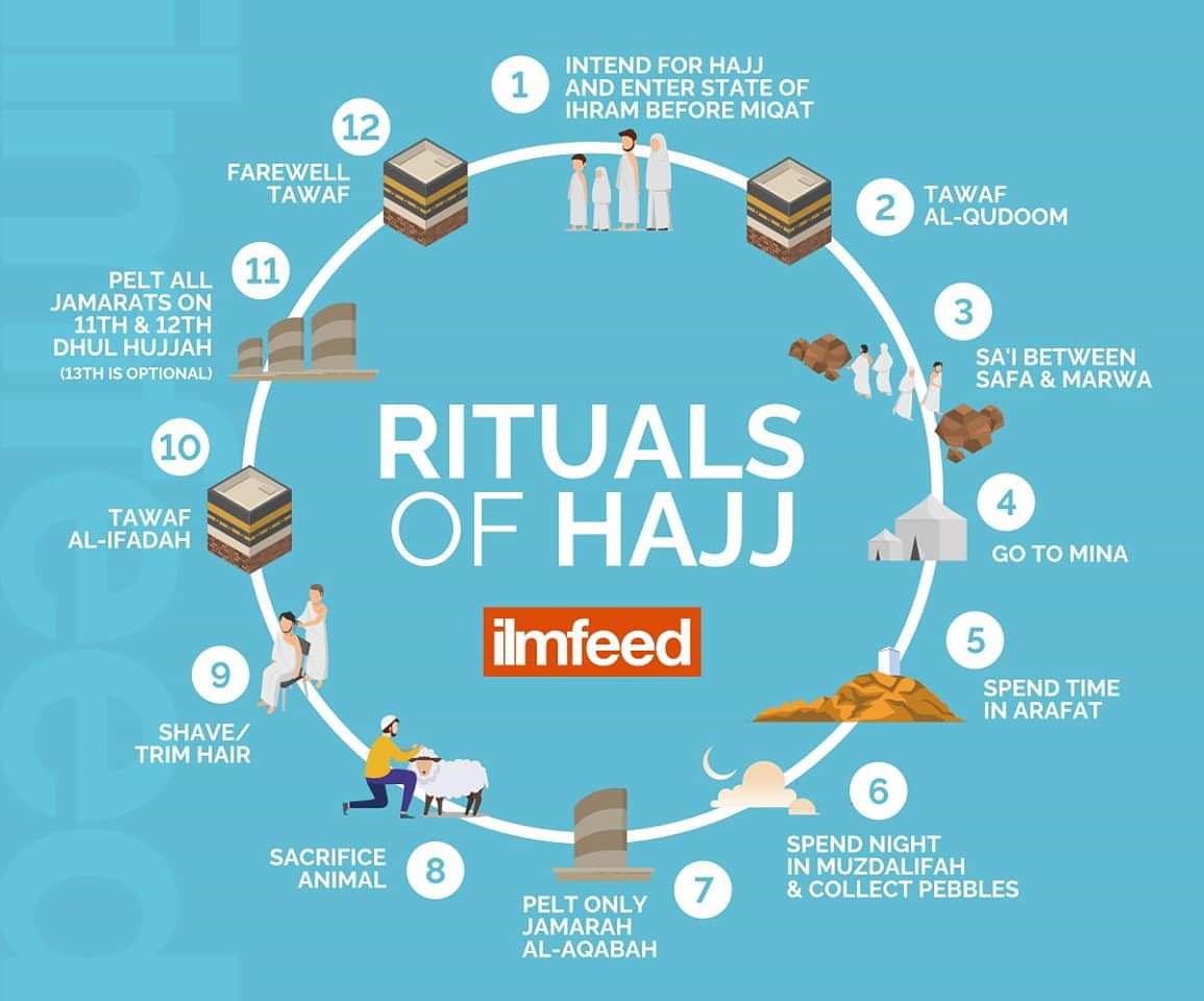 ilmfeed on X: "An infographic on the rituals of #Hajj.  https://t.co/2arc52Vmjq" / X