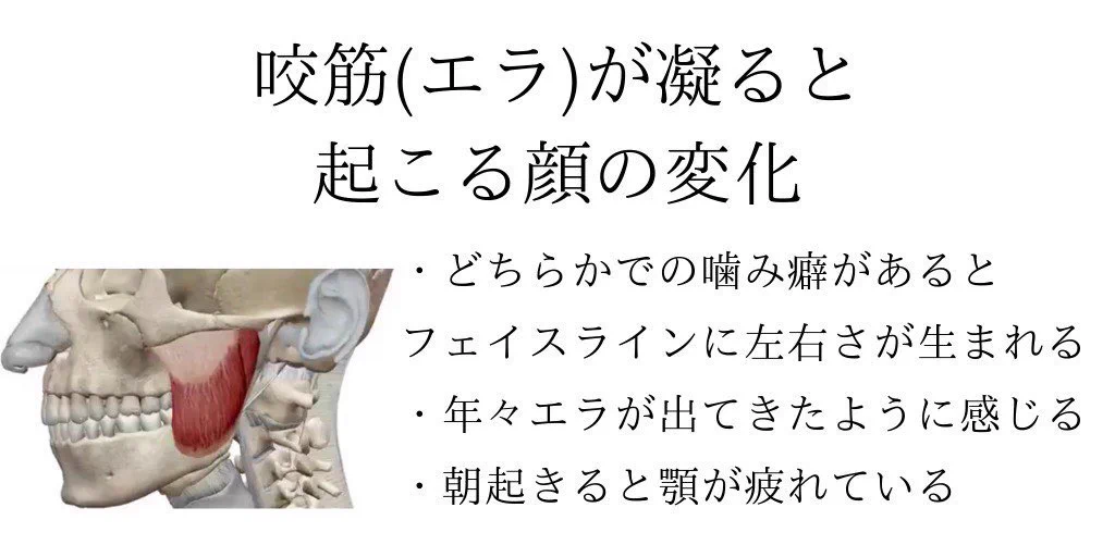 小顔になりたい人集まれ！！最も小顔効果が出るのはフェイスライン(エラの部分)!!!!