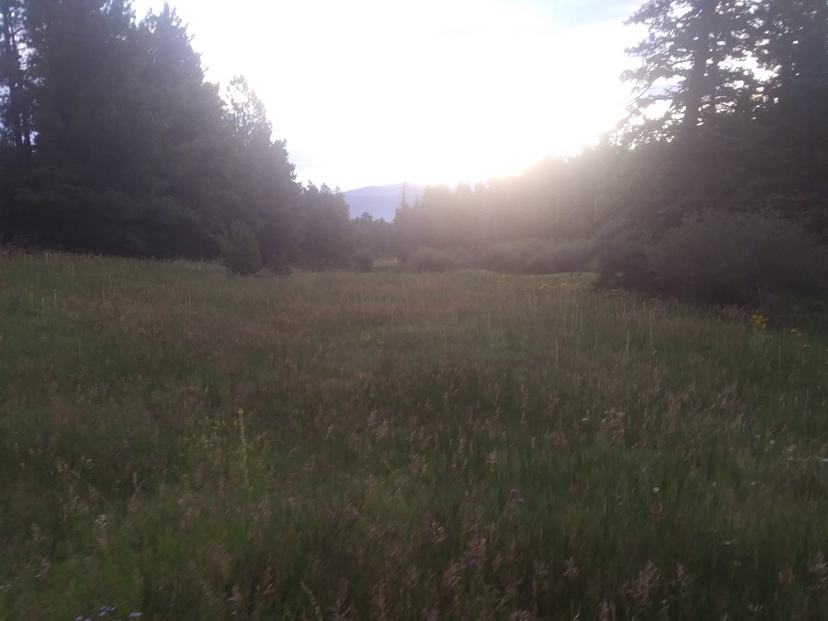 Love this view...morning in the Rockies...