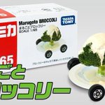 どうやって企画が通った!トミカからまるごとブロッコリーのおもちゃが登場？!