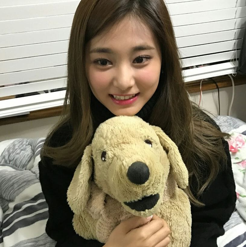 TWICE ぬいぐるみ TZUYU