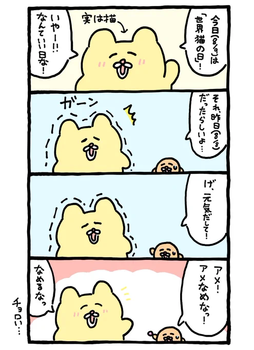 チョロいチャンミー  #世界猫の日 