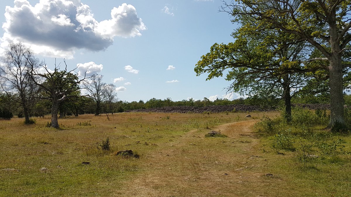 sticklingens's tweet photo. Ismanstorps fornborg.

#roadtrip #öland #fornborg https://t.co/n4fZdn6hDv