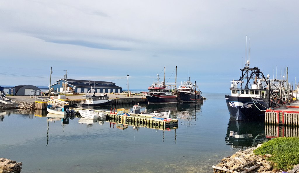 hikerchick_nl's tweet image. Happy Friday! Beautiful calm morning. #anchorpoint #itsgoingtorain