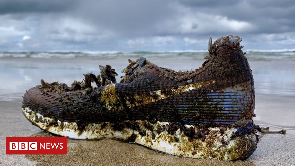 From a suspected number of containers overboard, hundreds of shoes have been found washing up on our beaches shores!👟 bbc.co.uk/news/uk-484646…