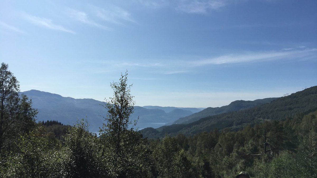 Morten Byberg tweet media