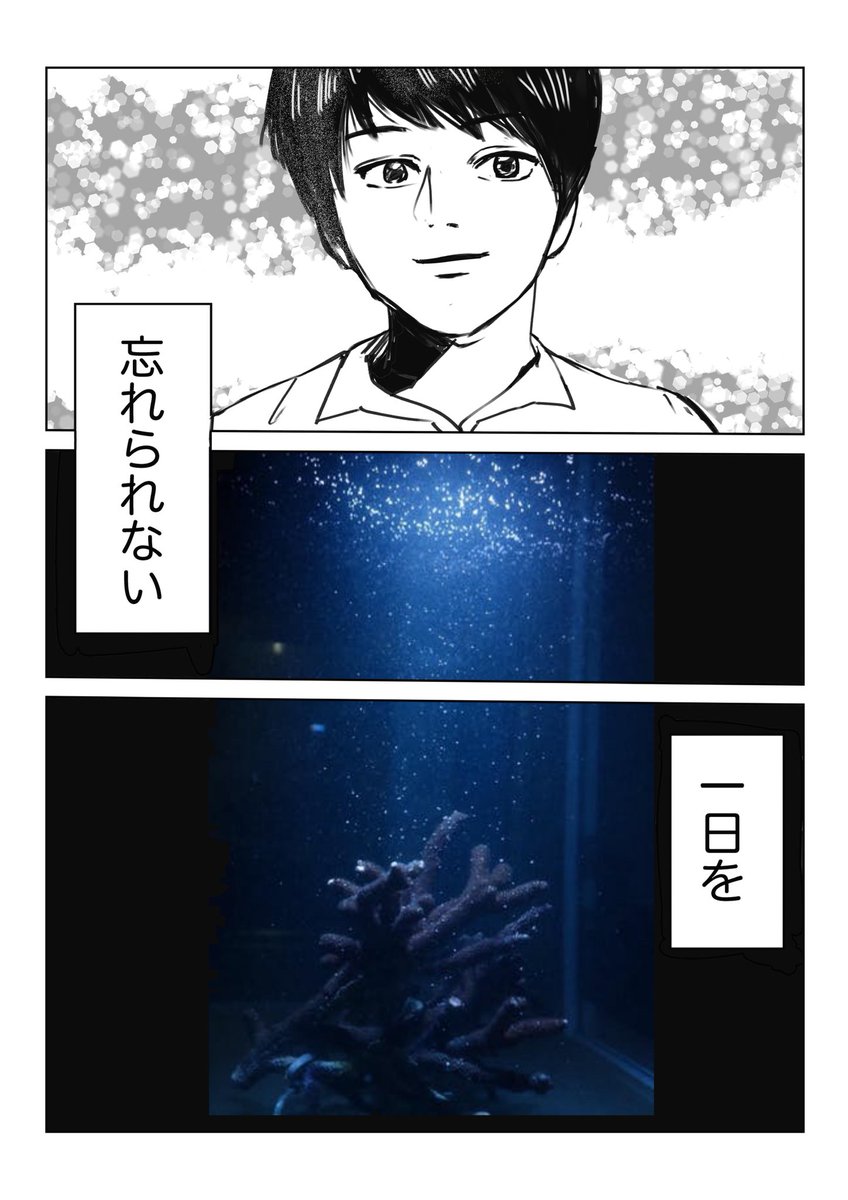 ট ইট র 伊佐坂みつほ マンガ家 クラウドファンディング残り3時間 クラファンの応援漫画 Oboeob サンゴ礁の産卵の奇跡 私は見てみたいです 詳細は下記