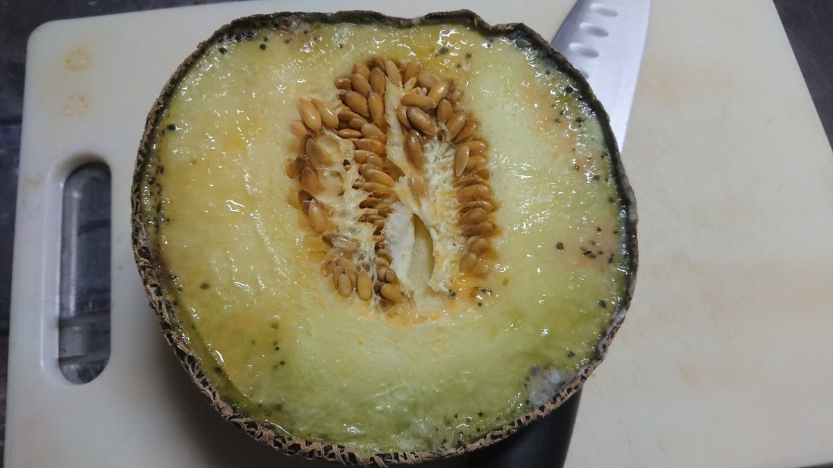 う み ゃ まっ 待て 静かに これを見てくれ メロンにカビが生えてる