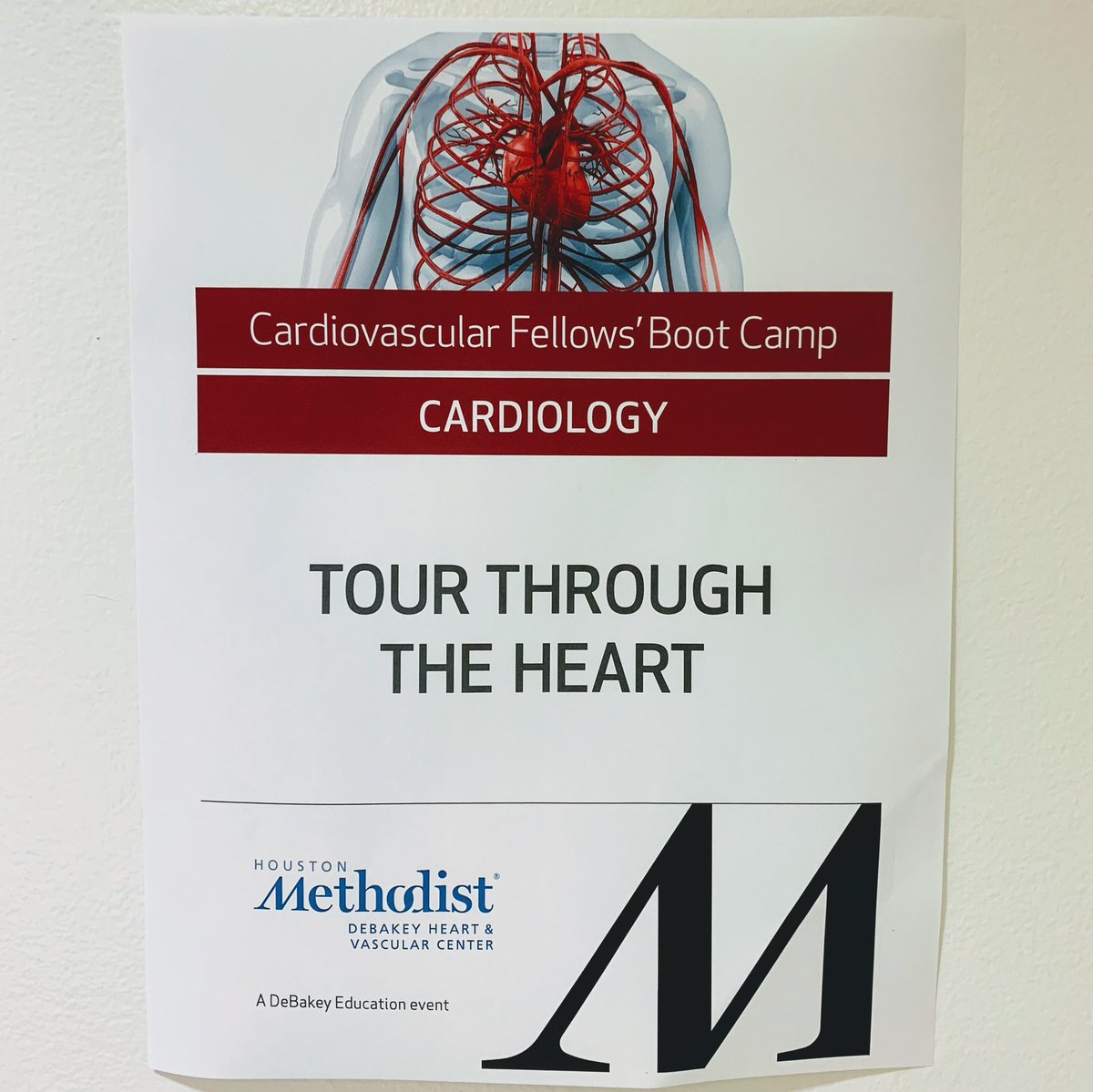 DrMoritzWvB's tweet photo. Setting up to teach #anatomy &amp; #technique for #SHD interventions all day today at @DICET_DeBakey #CVBootCamp19! 
Watch live lectures &amp; join the discussion Sat/Sun! https://t.co/Jm4OGQsUr0

#TAVR #SAVR #TMVR #SMVR #TTVR #STVR #heartsurgery #Cardiology #cardiotwitter #tssmn #meded https://t.co/3kcxu5KhJD