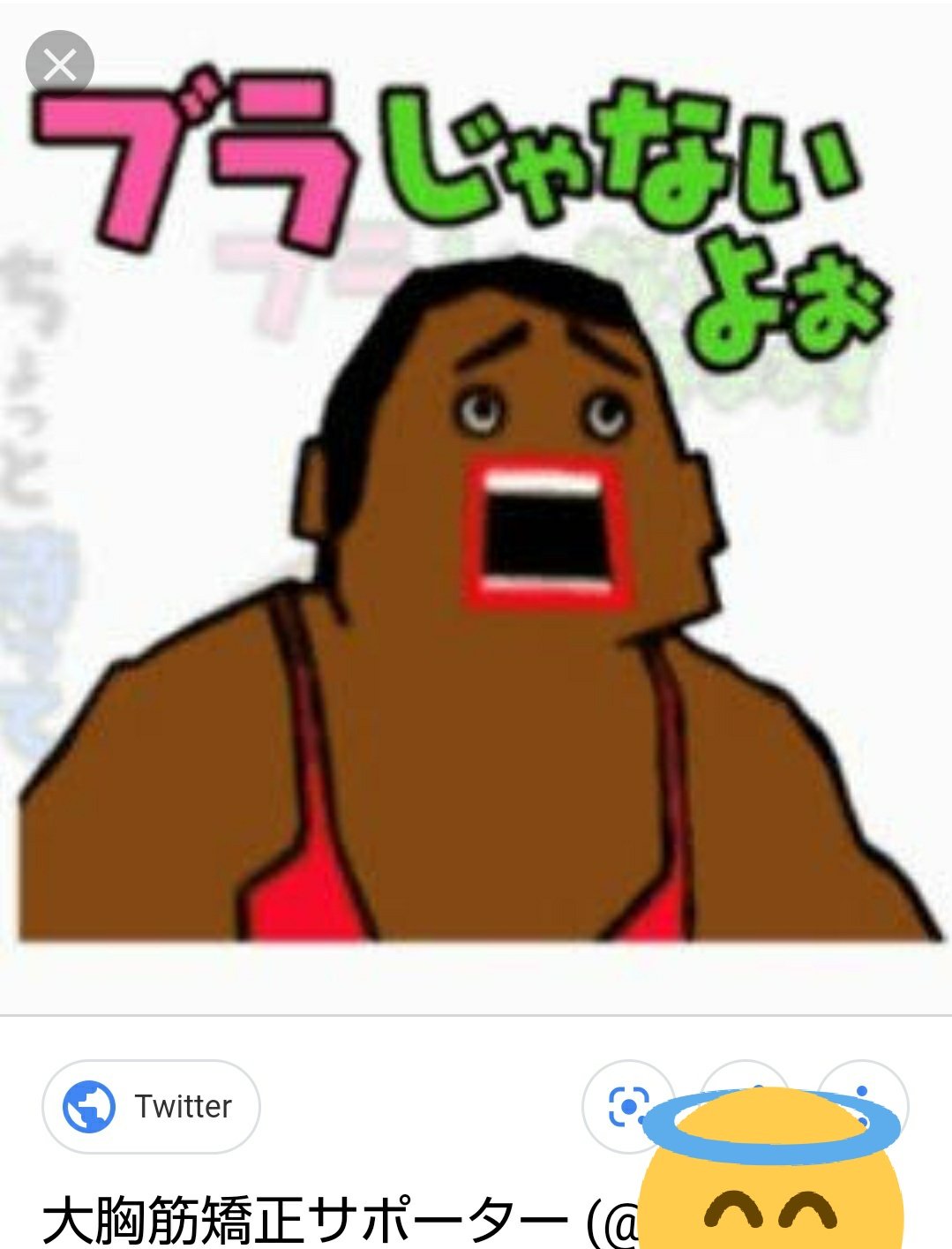 ブラ じゃ ない よ
