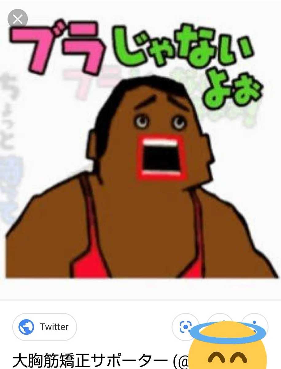 大 胸 筋 矯正 サポーター だ よ(01)