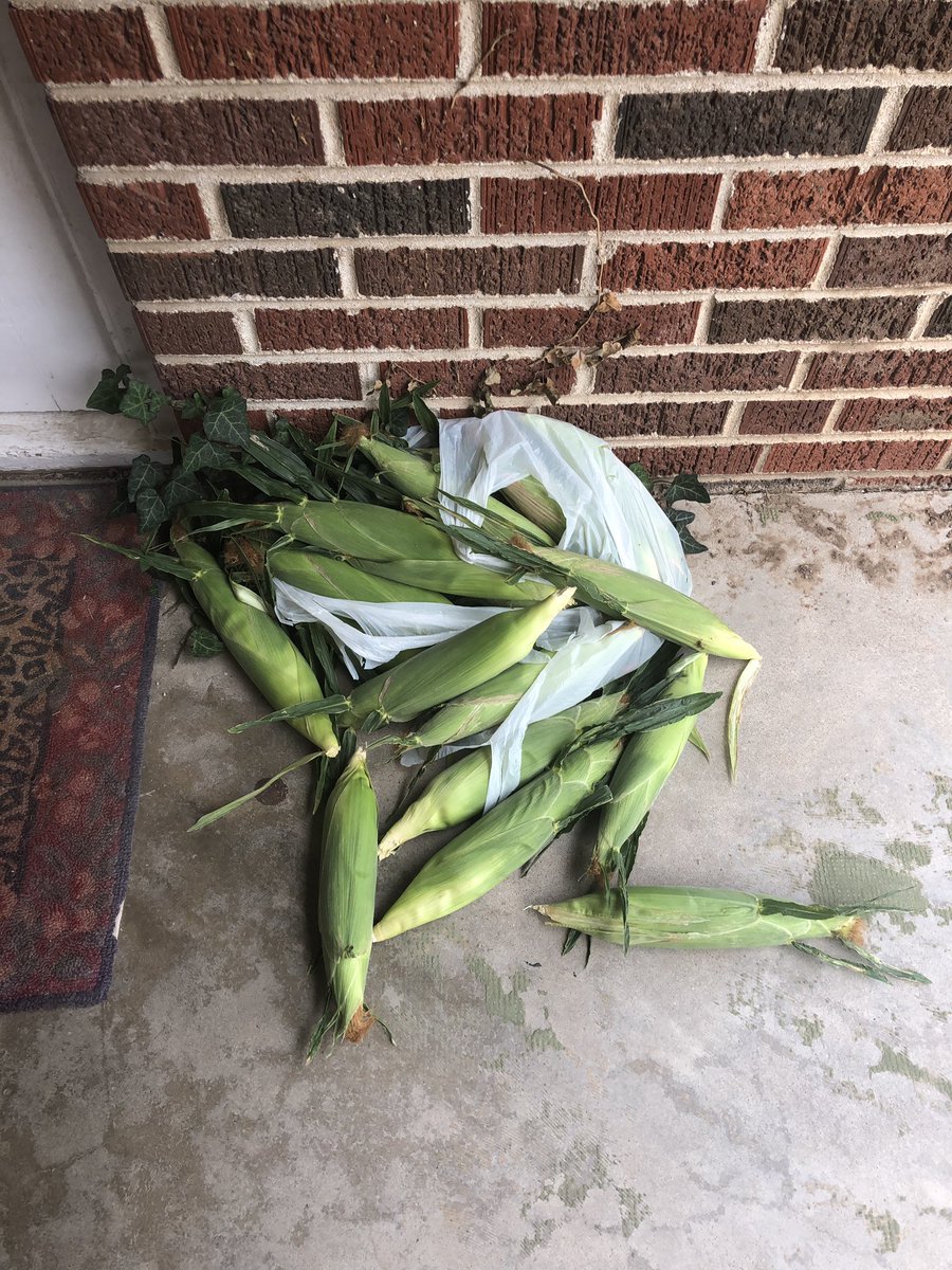 WadeCallaway's tweet photo. It’s Christmas in August when you walk home and find THIS on your front porch! Huge thanks to @tgrotegut and @derikgrotegut!! #FreshSweetCorn #GreatFolks https://t.co/dLHwclqp8R