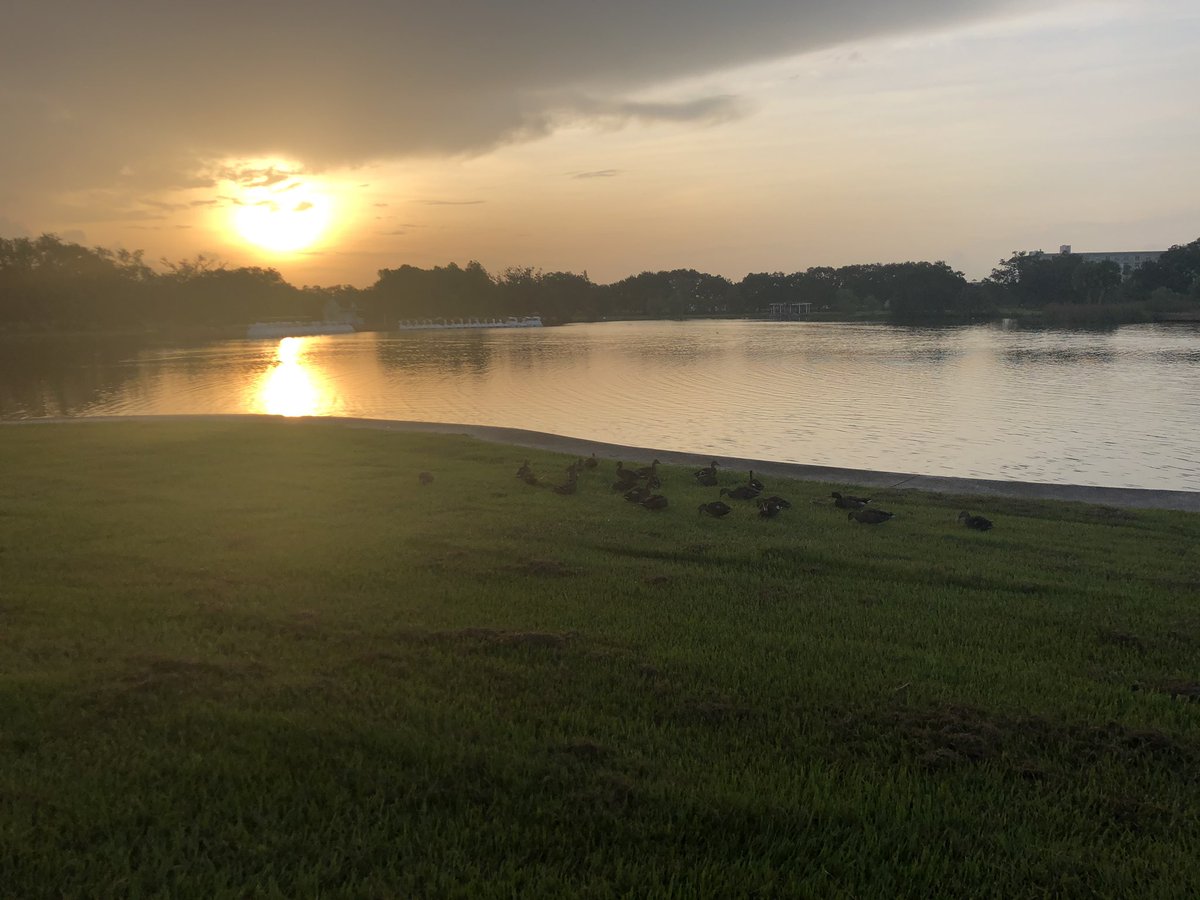 NotACSlater's tweet photo. #ducks #walkers #runners #bikers #sunrise #fishers @NOLACityPark https://t.co/fWwDvpmfND
