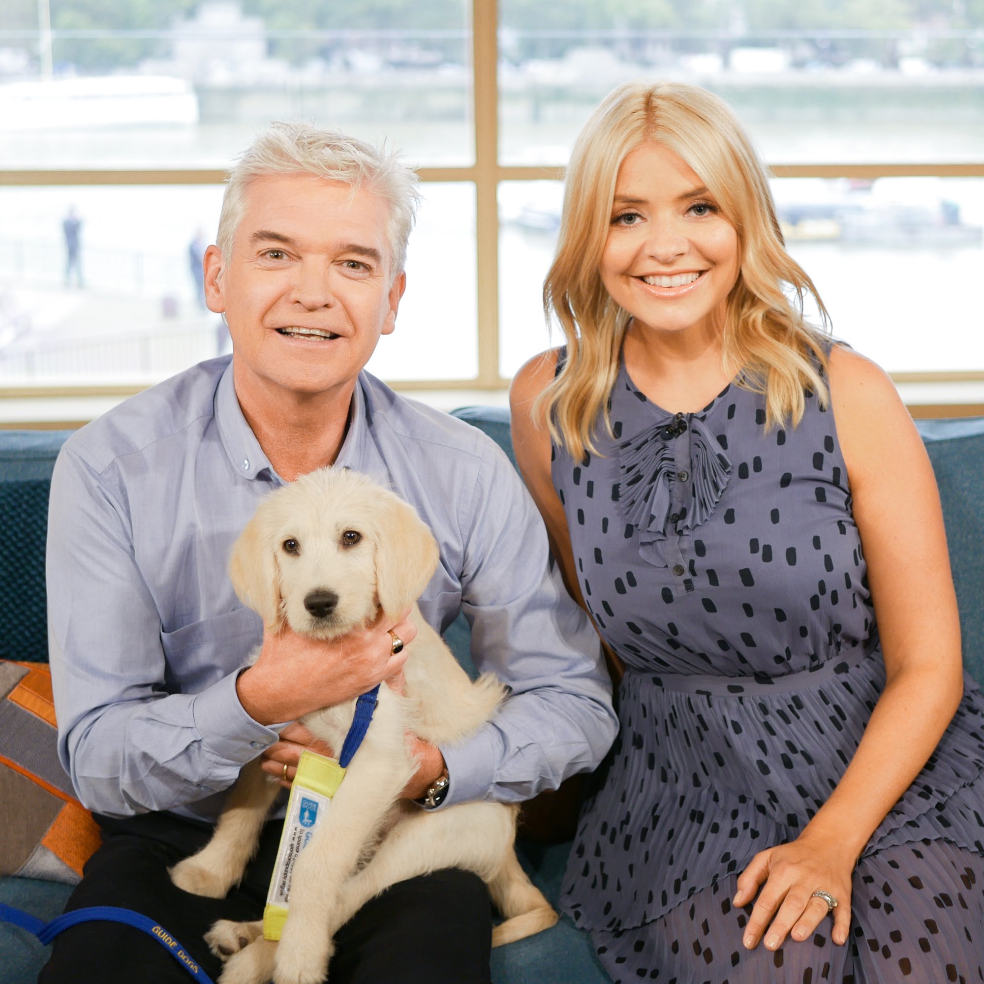 Why Do Dogs Cuddle In The Morning