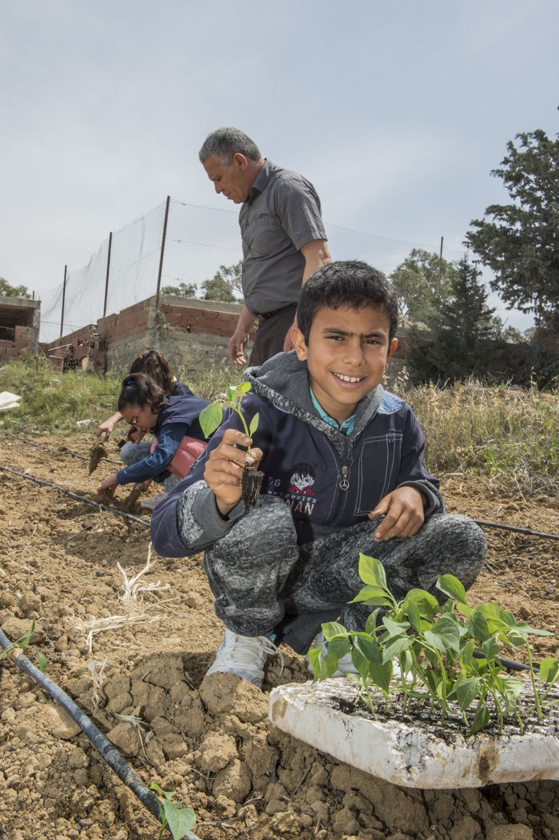 WFP_MENA's tweet photo. In #Tunisia, the sourcing of up to 30% of the food served in school canteens from school gardens allows WFP to improve the nutritional value of school meals, while boosting local economies. https://t.co/Ds2SVhPJM2