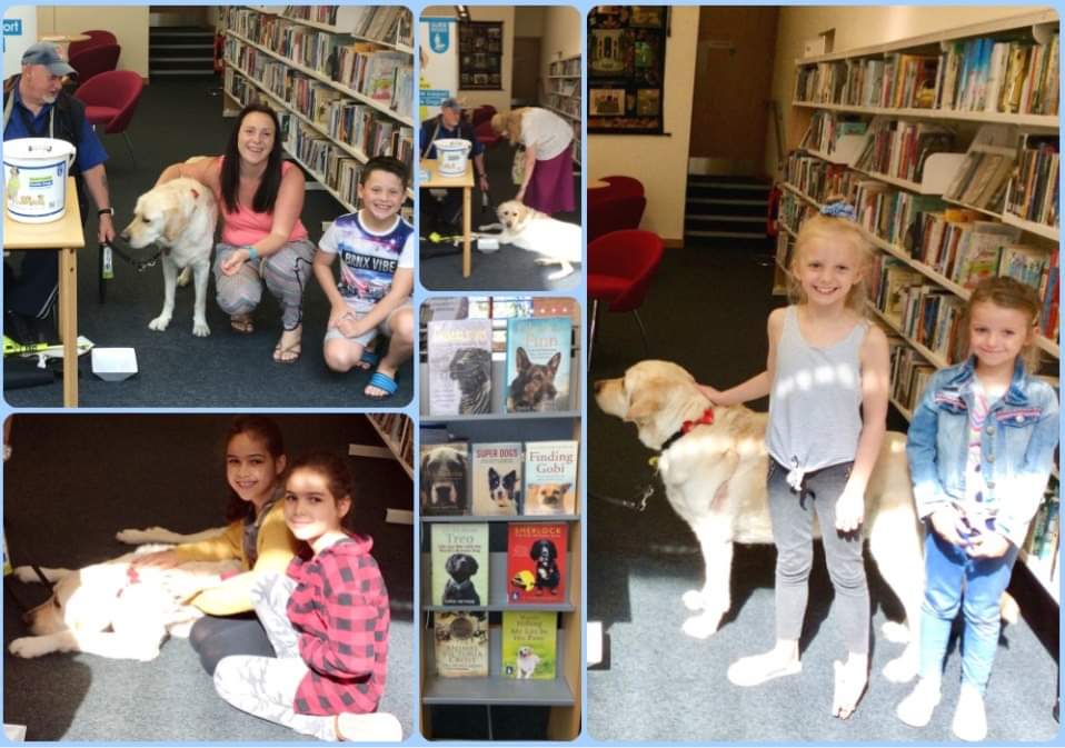 WGC_Central_Lib's tweet photo. #AssistanceDogs always welcome at our library, not just for #InternationalAssistanceDogsWeek. Here's gorgeous JB off-duty, meeting some of our lovely library users, along with friends Alan and Ralph from @GuideDogsAL2 . #IADW https://t.co/0BkgOvZJ9f