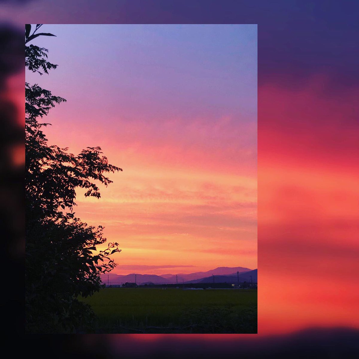 yukimama2923's tweet photo. 今日は焼けた空の赤さが
ひときわ鮮やかな夕方。
空を見て花を見て鳥を見て
川の流れを見て。
視覚にたくさんの
刺激を受け取る散歩🚶♀️
自然は驚きの連続です。
#散歩
#夕焼け
#パプリカ
#視覚
#聴覚
#たくさんの刺激
#米津玄師 さん
#Footin のみんな
#加藤隆 さん
#おめでとうとありがとう https://t.co/B1ByndX0M3