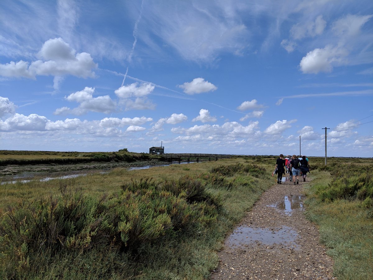 Excited to be making the most of the @WCL_News volunteering policy to join @EssexWT_Rachel for a shoresearch survey today. Helping to build understanding of species around the Essex coastline.