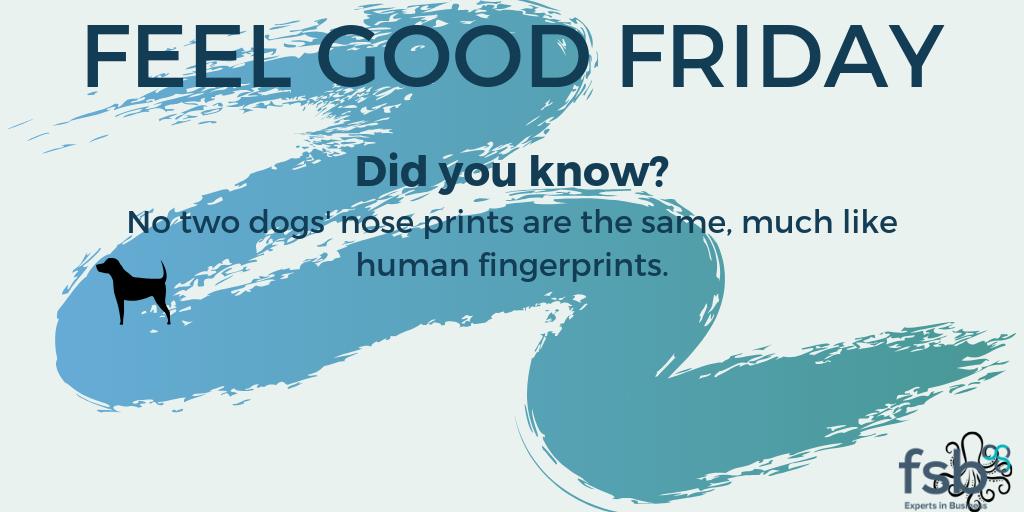 fsbderbyshire's tweet photo. Happy Friday 🐕 

Another week done, we can't believe how quickly this week has gone!

What do you have planned for this weekend? ☀️ 

#SmallBusiness #derbyshire #fsb #feelgoodfriday #weekendcountdown https://t.co/xnL2sEn9fy