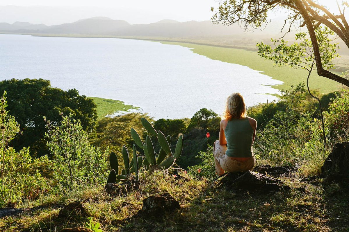 CRESCENT ISLAND 
Private day tours.
call/whatsapp:+254722739549
info@kenyatoursandsafaris.com
#kenya #kenyatours #Naivasha #Crescent #island #walkingwithanimals #privatesafari #Groupsafaris #safaris #travel #tours #tembeakenya
kenyatoursandsafaris.com