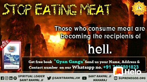 read the read