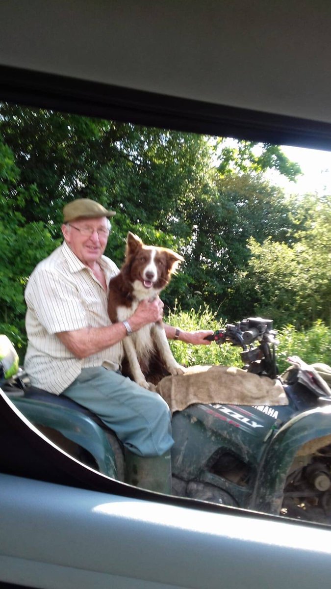 JustineQuirk's tweet photo. Dog theft is on the increase but charge/conviction rates are decreasing. Our dogs aren’t “property” that can be replaced 😡 @MichelleSLT shares Socks’ Appeal today. Pls RT & help raise awareness #StolenSocks #DogTheft #StolenDog #BorderCollie #CheckTheChip https://t.co/C3Etl5lLFb https://t.co/gv1RsaUSjC