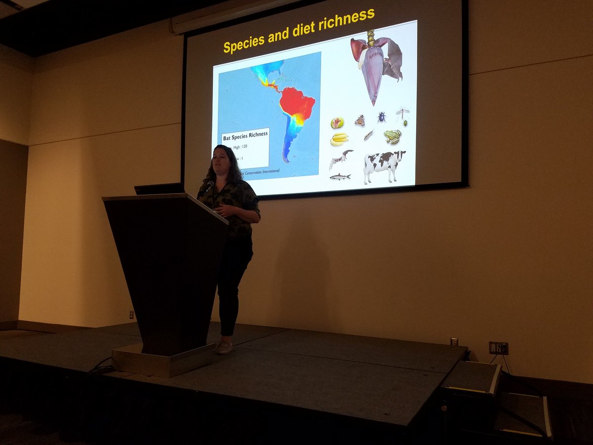 WelchLab_UTSC's tweet photo. Dr. Morag Dick presents on how dietary guild relates to sugar oxidation ability in new world bats! @ICCPB2019 https://t.co/R5bzhRwOOe