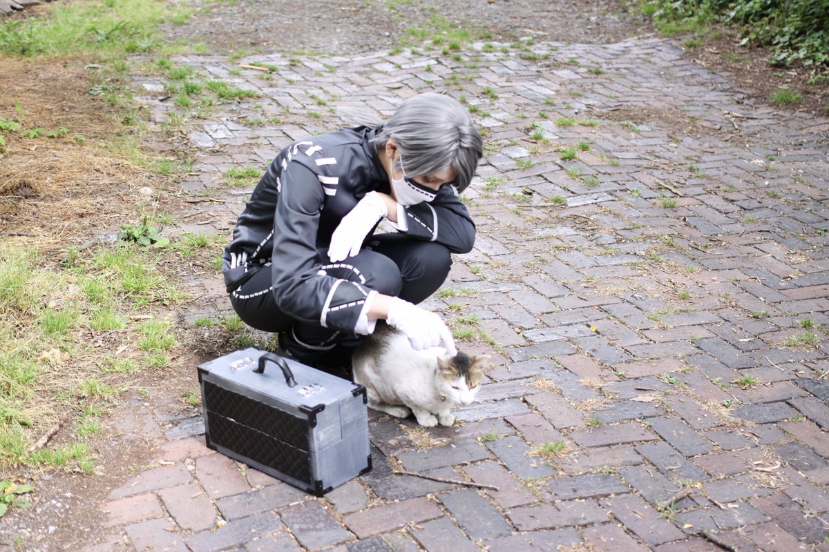wiru_son's tweet photo. にゃんこ https://t.co/ol0Ypn03Xc