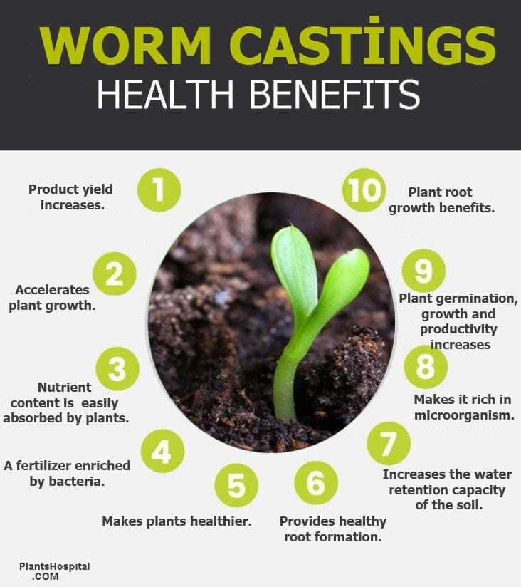 Lisa_Green06's tweet image. Stock up on your MAGIC earthworm castings at @MarketTomball Sat &amp;amp; #YNFMbridgeland Sun #wormcastings #soilamendments #organic #nutrientrich #soilmicrobes #wormpoop #soilhealth #soilfoodweb #planthealth #livingsoil #garden #landscape #hempfarmers #gotexan #omrilisted #farmersmarket