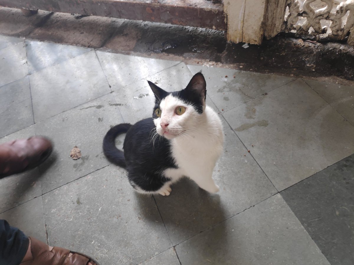 abhishekkrcare's tweet photo. New friend at Indian Railway Institute For Civil Enigineers #IRICEN #Pune @vishkanyaaaa https://t.co/0n0CXAWX2E