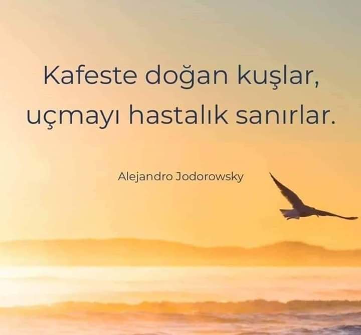ayhangurles's tweet photo. https://t.co/bPoI7ROVAa