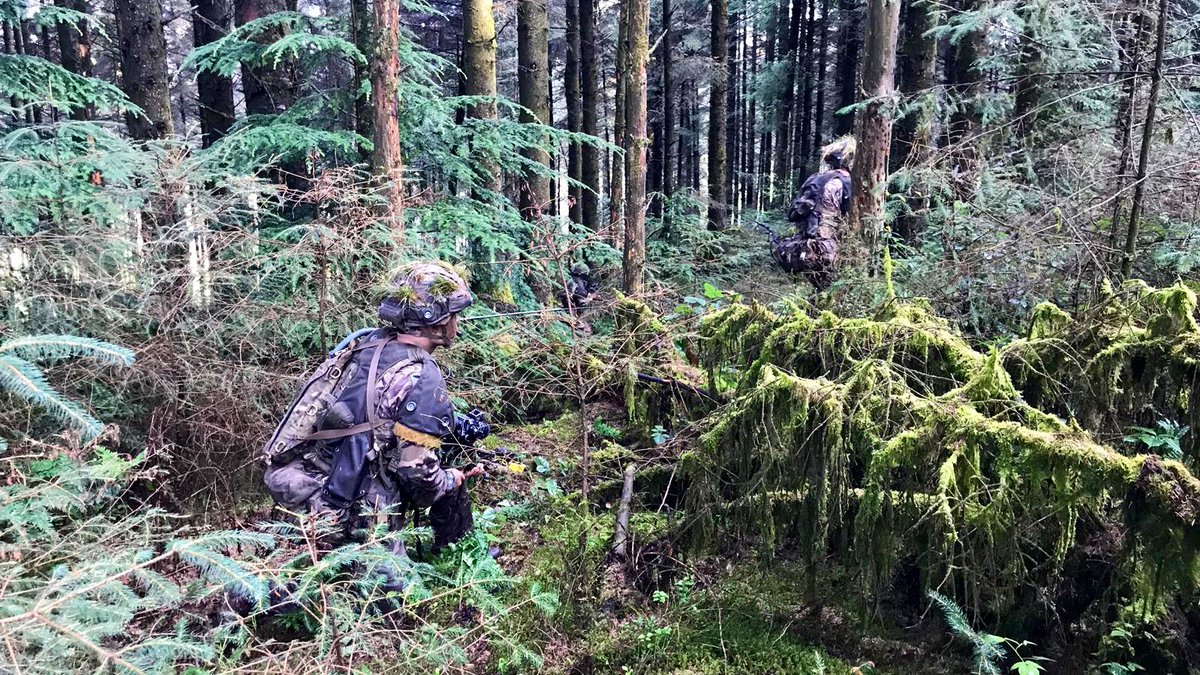 IBSBrecon's tweet photo. Back into the forest as #SCBC1901 hone their skills in a variety of environments; dense woods can be extremely tough to navigate and fight through! #Infantry https://t.co/jMXEba1kZ0