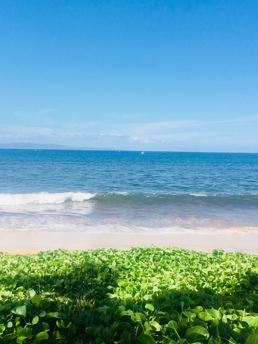 yourmomsnurse's tweet photo. Oh #Maui how I’ve missed you! This #streamergirl is missing the #twitchcommunity and friends right now. But this island is so gorgeous! lil snorkel day near #Lahaina today! 
#apexlegends break #streamergirl #streamervacation https://t.co/Q32W1Tkzv5