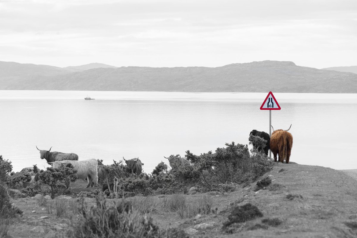 View on isle of Rona from Applecross. For repro visit link in profile. #ThePhotoHour #500px #scotland #isleofrona #coo #blackandwhite #highlands