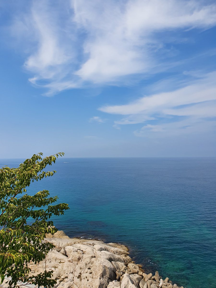 오랜만에 들른 바닷가
서늘한 바람이 너무 좋았다
까페에서 차한잔 마시는
여유로움..
속초 등대도 처음 올라 가보다